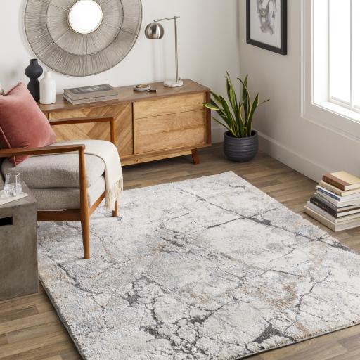 Surya Tuscany TUS-2314 8'10" x 12'2" Rug