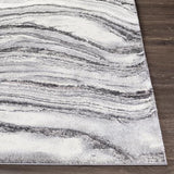 Surya Tuscany TUS-2316 Charcoal Gray 2' x 3' Rug