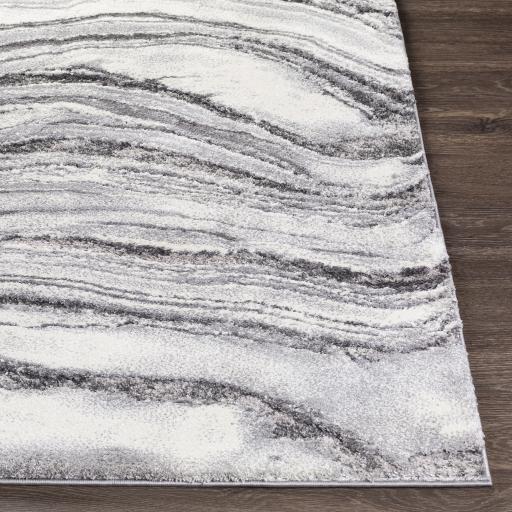 Surya Tuscany TUS-2316 2' x 3' Rug