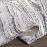 Surya Tuscany TUS-2316 2' x 3' Rug
