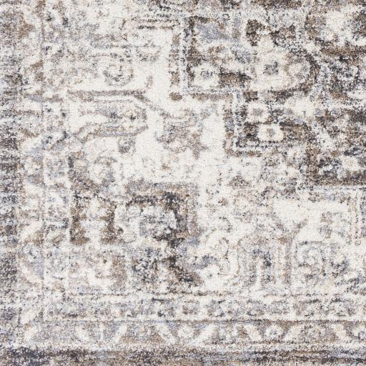 Surya Tuscany TUS-2318 Brown Charcoal 8'10" x 12'2" Rug