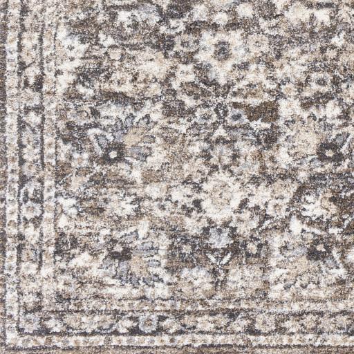Surya Tuscany TUS-2319 Brown Charcoal 7'10" x 10'2" Rug
