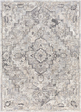 Surya Tuscany TUS-2321 2' x 3' Rug