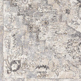 Surya Tuscany TUS-2321 2' x 2'11" Rug