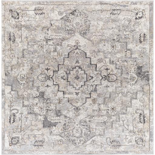 Surya Tuscany TUS-2321 2' x 2'11" Rug