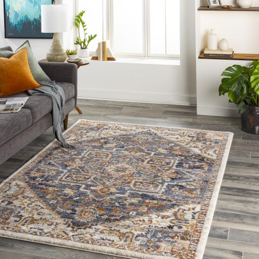 Surya Tuscany TUS-2334 Blue Brown 2' x 2'11" Rug