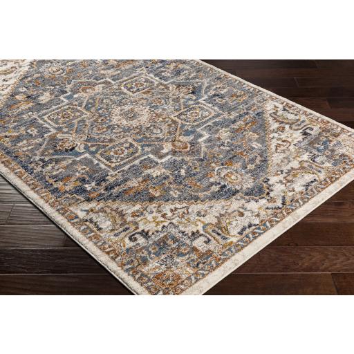 Surya Tuscany TUS-2334 Blue Brown 2' x 2'11" Rug