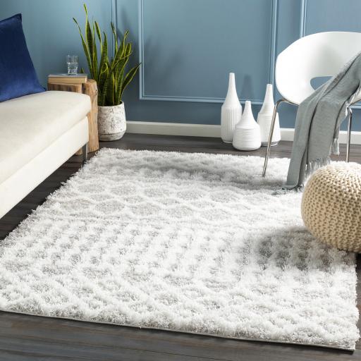 Surya Urban Shag USG-2310 5'3" x 7'3" Rug