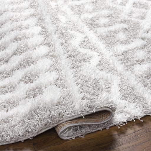 Surya Urban Shag USG-2310 5'3" x 7'3" Rug