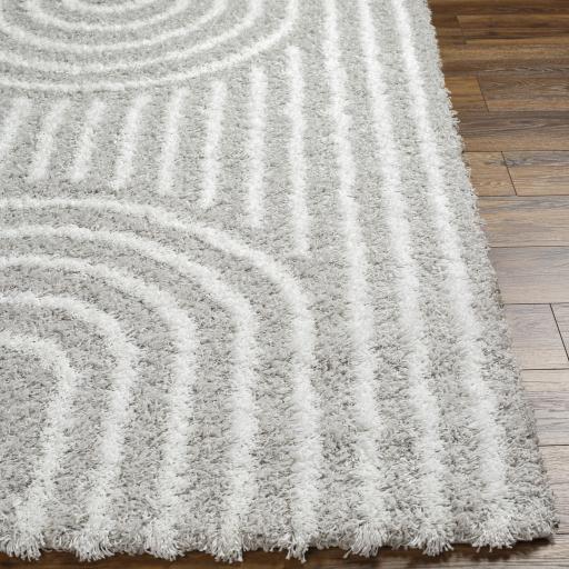 Surya Urban Shag USG-2314 5'3" x 7'3" Rug