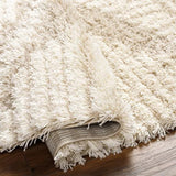 Surya Urban Shag USG-2326 5'3" x 7'3" Rug