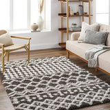 Surya Urban Shag USG-2342 7'10" x 10'2" Rug