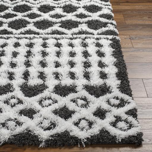 Surya Urban Shag USG-2344 2'7" x 7'3" Rug