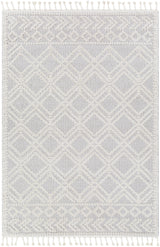 Surya Valencia VLC-2315 7'10" x 10' Rug