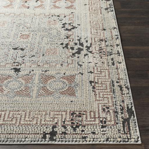Surya Venezia VNZ-2301 Black Light Beige 5'3" x 7'3" Rug