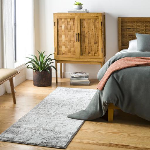 Surya Venice VNE-2305 3'11" x 5'7" Rug
