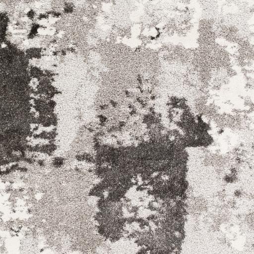 Surya Venice VNE-2308 5'3" x 7'3" Rug