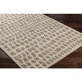 Surya Vilnius VNS-2303 Gray Light Beige 2' x 3' Rug