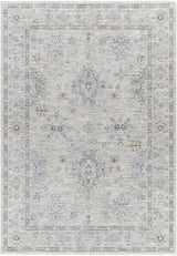 Surya Virginia VGN-2300 2' x 3'11" Rug