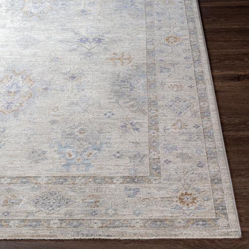 Surya Virginia VGN-2300 2' x 3'11" Rug
