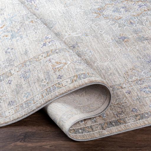 Surya Virginia VGN-2300 2' x 3'11" Rug