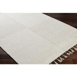 Surya Vivian VVI-2300 Cream Gray 2' x 3' Rug