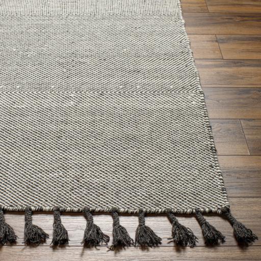 Surya Vivian VVI-2302 2' x 3' Rug