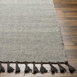 Surya Vivian VVI-2302 2' x 3' Rug