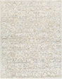 Surya Waterloo WTL-2301 8' x 10' Handmade Rug