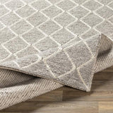 Surya Whistler WSR-2303 2' x 3' Rug