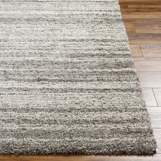 Surya Wilder WDR-2000 Gray White 2' x 3'7" Rug