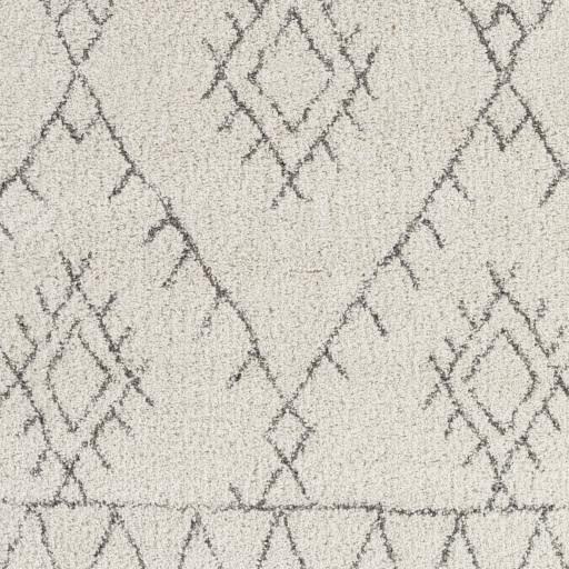 Surya Wilder WDR-2003 Charcoal Light Beige 7'10" x 10'10" Rug