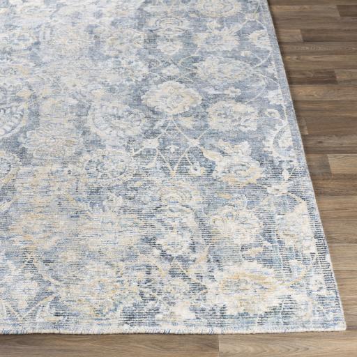 Surya Wilson WSN-2300 2' x 3' Rug