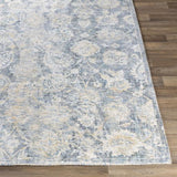 Surya Wilson WSN-2300 2' x 3' Rug