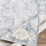 Surya Wilson WSN-2300 2' x 3' Rug