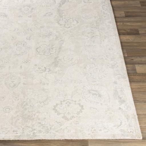 Surya Wilson WSN-2301 2' x 3' Rug