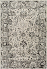 Surya Wilson WSN-2309 2' x 3' Rug