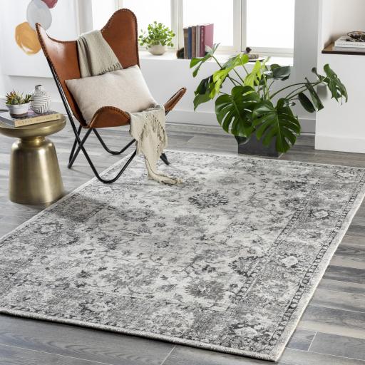 Surya Wilson WSN-2309 6' x 9' Rug