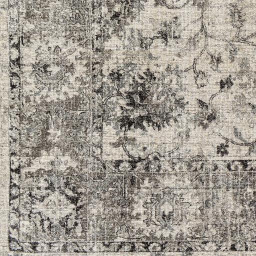 Surya Wilson WSN-2309 6' x 9' Rug