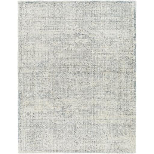 Surya Wilson WSN-2310 2' x 3' Rug