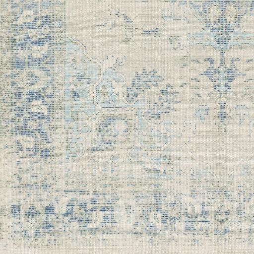 Surya Zainab ZAI-2300 2' x 3' Rug