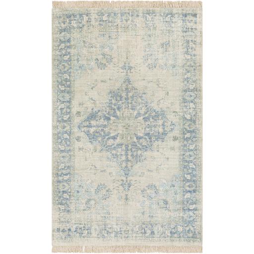 Surya Zainab ZAI-2300 2' x 3' Rug