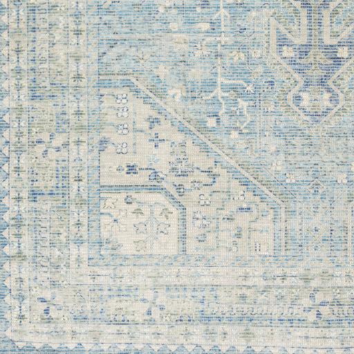 Surya Zainab ZAI-2304 2' x 3' Rug