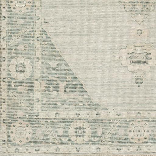 Surya Zainab ZAI-2306 2' x 3' Rug