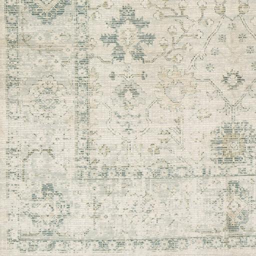 Surya Zainab ZAI-2308 8' x 10' Rug