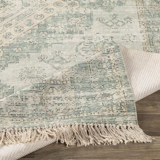 Surya Zainab ZAI-2311 2' x 3' Rug
