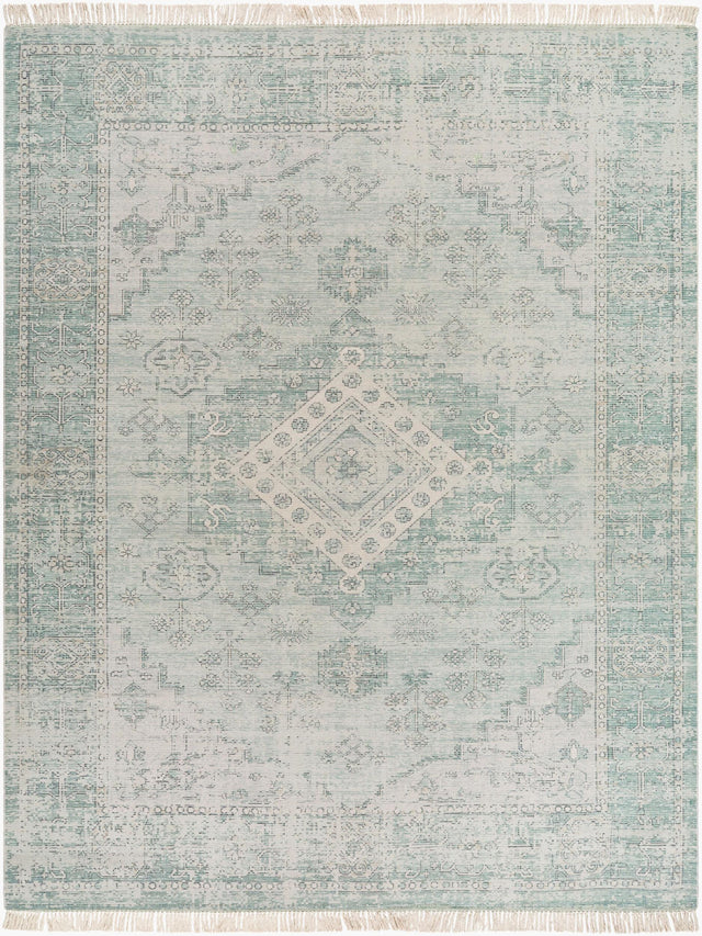 Livabliss Zainab ZAI-2311 8'10" x 12' Handmade Rug