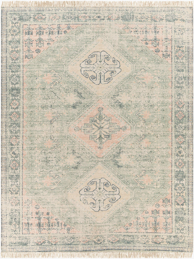 Livabliss Zainab ZAI-2316 8'10" x 12' Handmade Rug