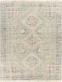 Livabliss Zainab ZAI-2316 8'10" x 12' Handmade Rug