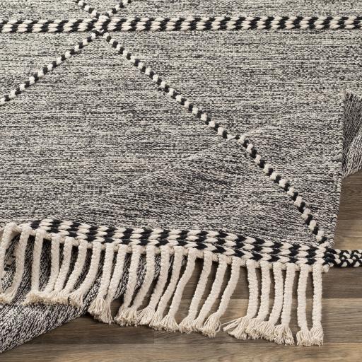 Surya Zanafi ZNF-2301 2' x 3' Rug